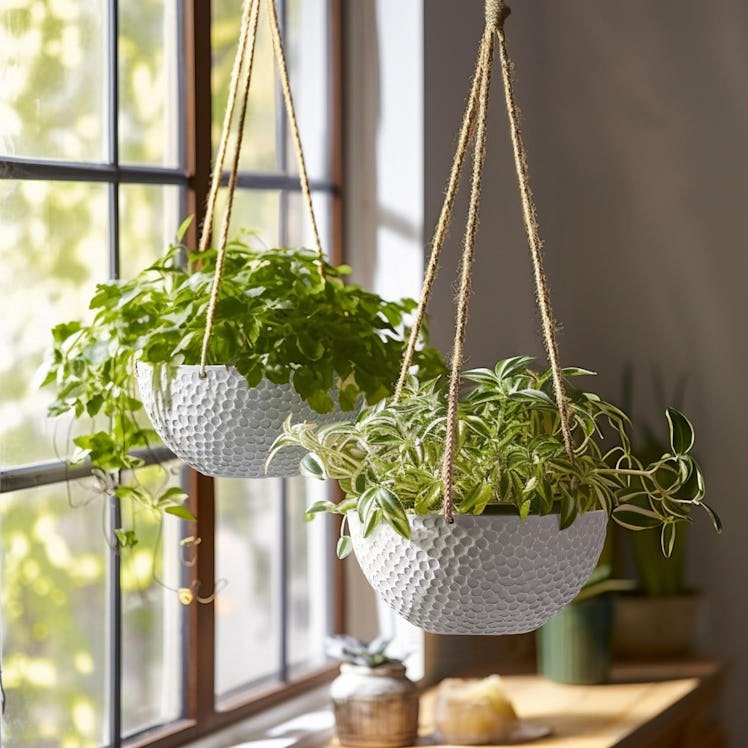 LA JOLIE MUSE Hanging Planters (Set Of 2)