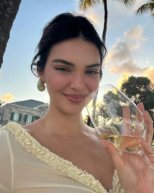 Kendall Jenner selfie