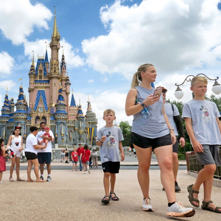 Family walking near a fairy-tale castle at a theme park, with tourists in the background under a par...