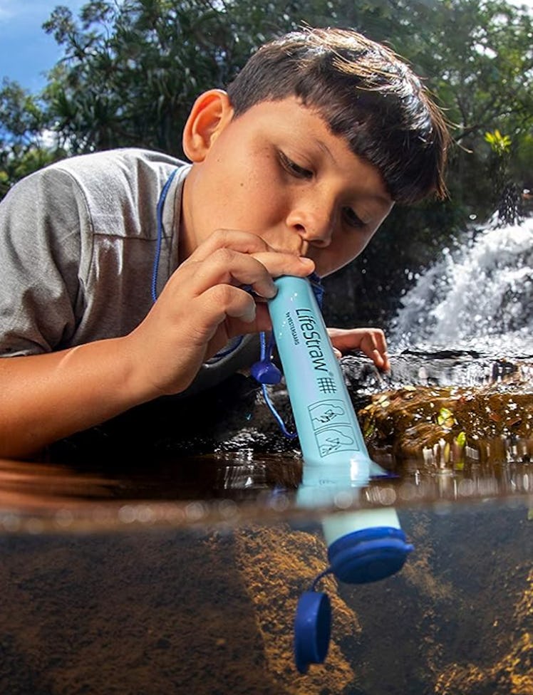 LifeStraw Personal Water Filter