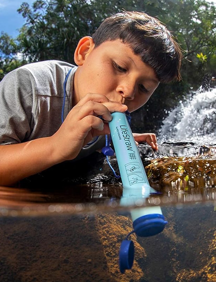 LifeStraw Personal Water Filter