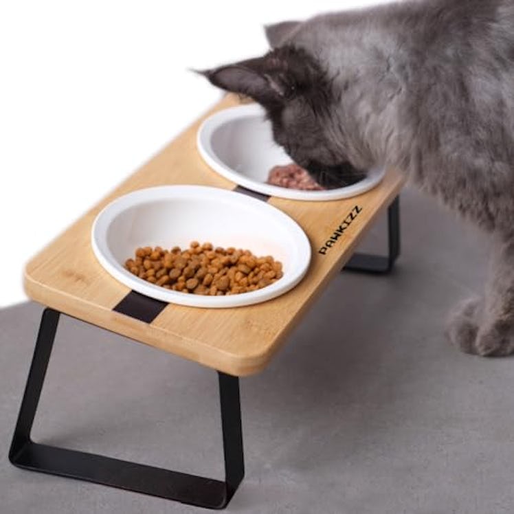 pawkizz Elevated Ceramic Pet Bowls