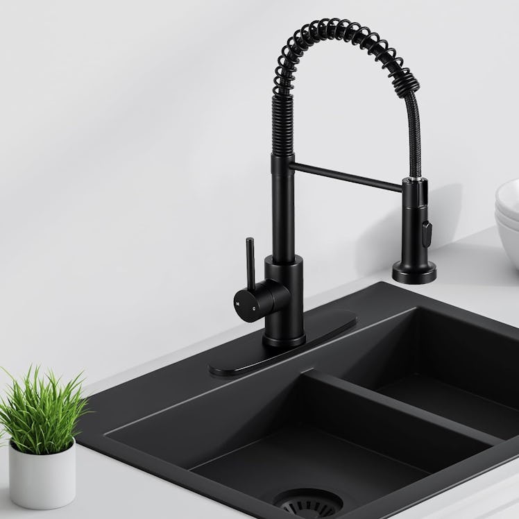 DJS Kitchen Faucet