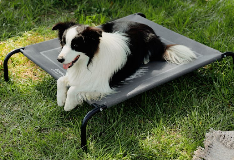 Bedsure Elevated Dog Bed