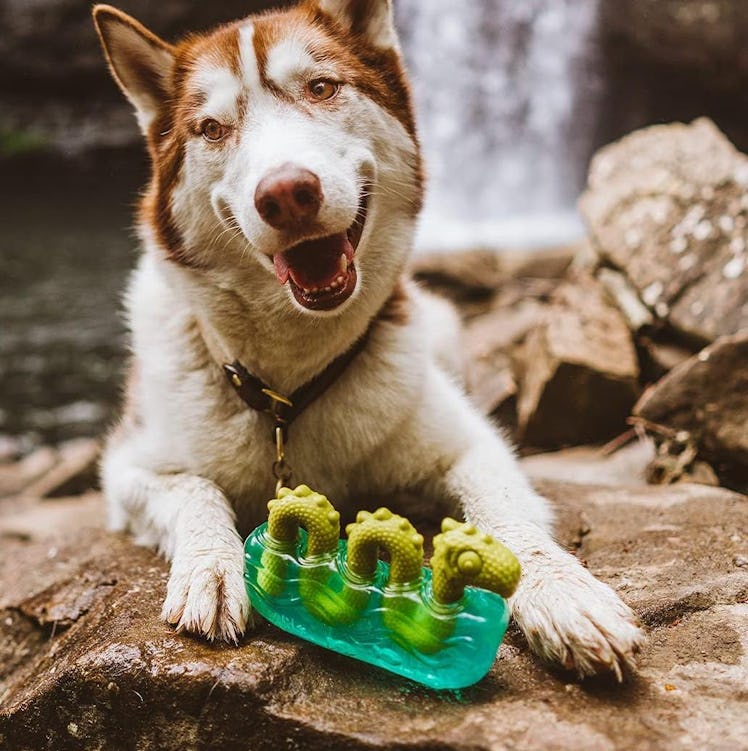 Barkbox Dog Ness Monster Chew Toy