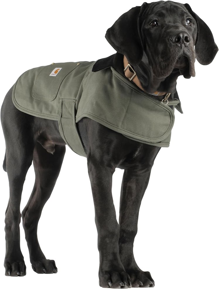 Carhartt Insulated Dog Chore Coat