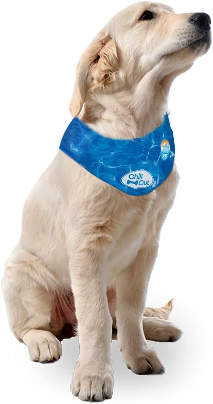 ALL FOR PAWS Chill-Out Cooling Bandana