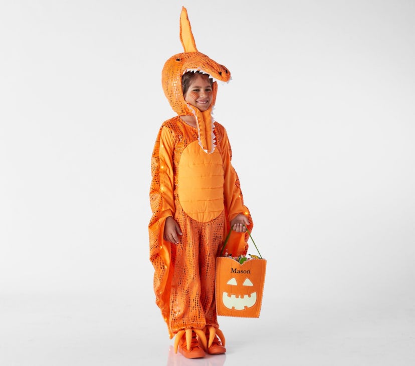 Light-Up Pterodactyl Kids Halloween Costume