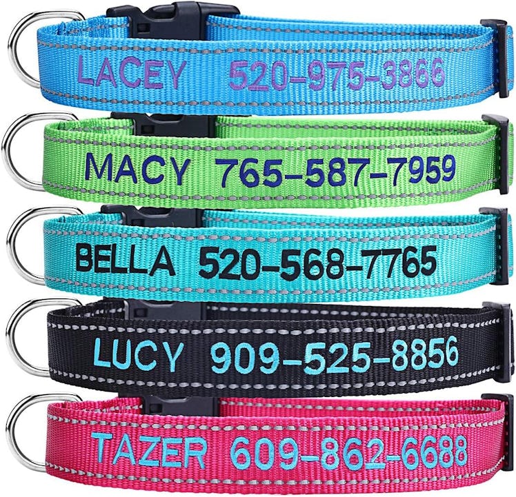 YDL Personalized Dog Collar