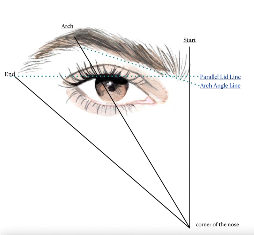 The Best Brow Shape For You Can Be Achieved By Following These Steps