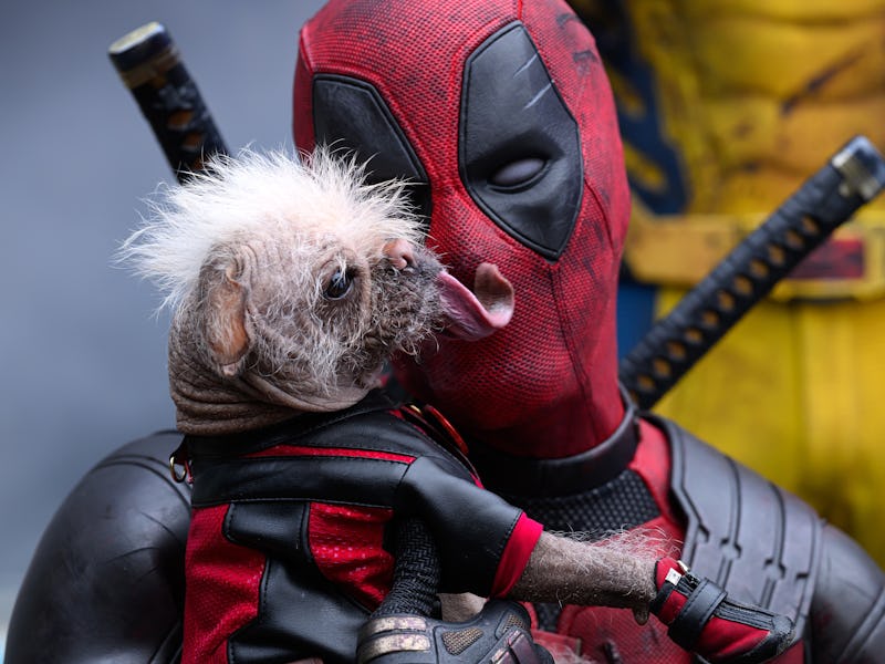 Dogpool licks Deadpool's mask in 'Deadpool & Wolverine'