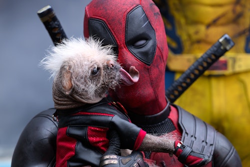 'Deadpool & Wolverine’s Cameos Continue Marvel’s Worst Trend