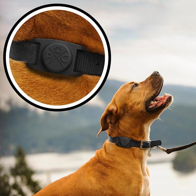 Pup Culture AirTag Dog Collar Holder