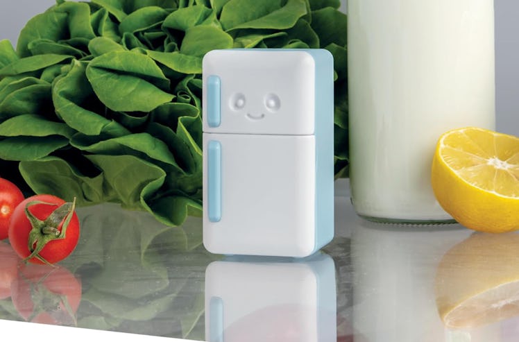 OTOTO Fridge Deodorizer