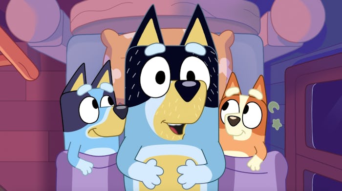 Bandit cuddles in bed with Bluey and Bingo.