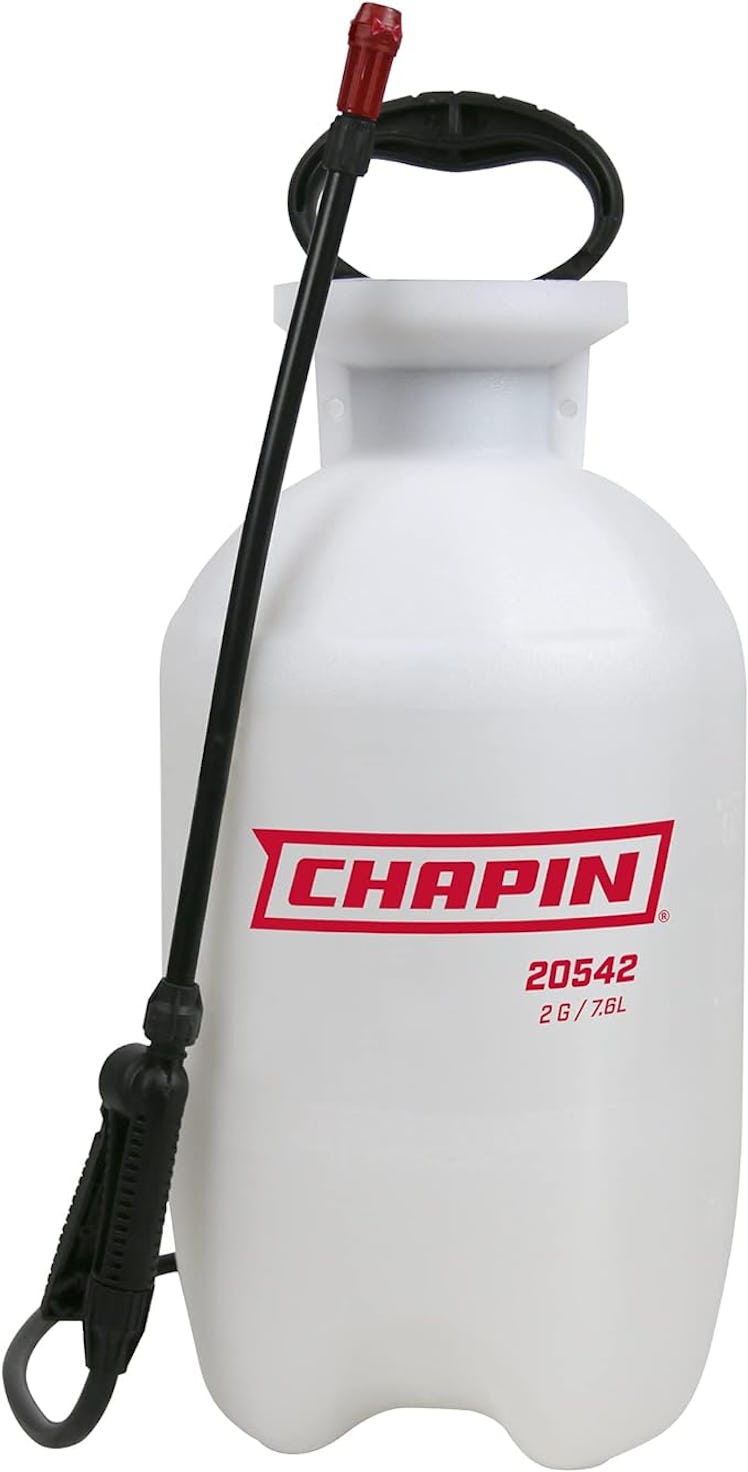 Chapin Multi-Purpose Sprayer With Foaming & Adjustable Nozzles