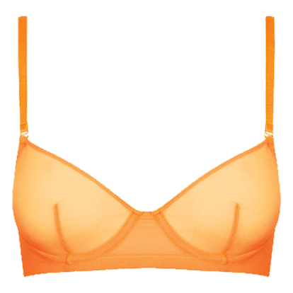 20 Best Sheer Bras