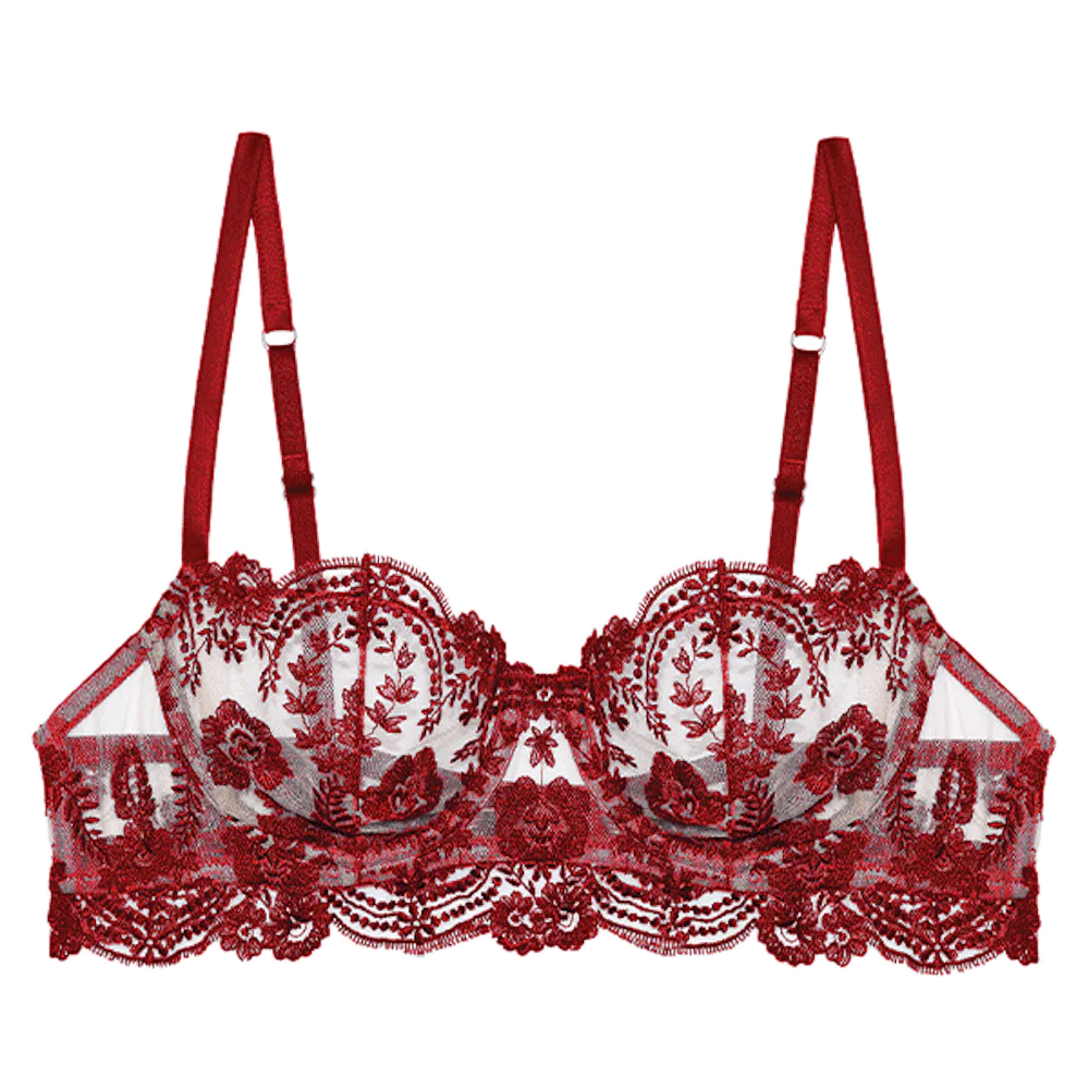 Sheared Bras 20 Best Sheer Bras