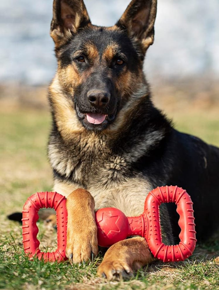 BiteKing Tough Tug Dog Toy
