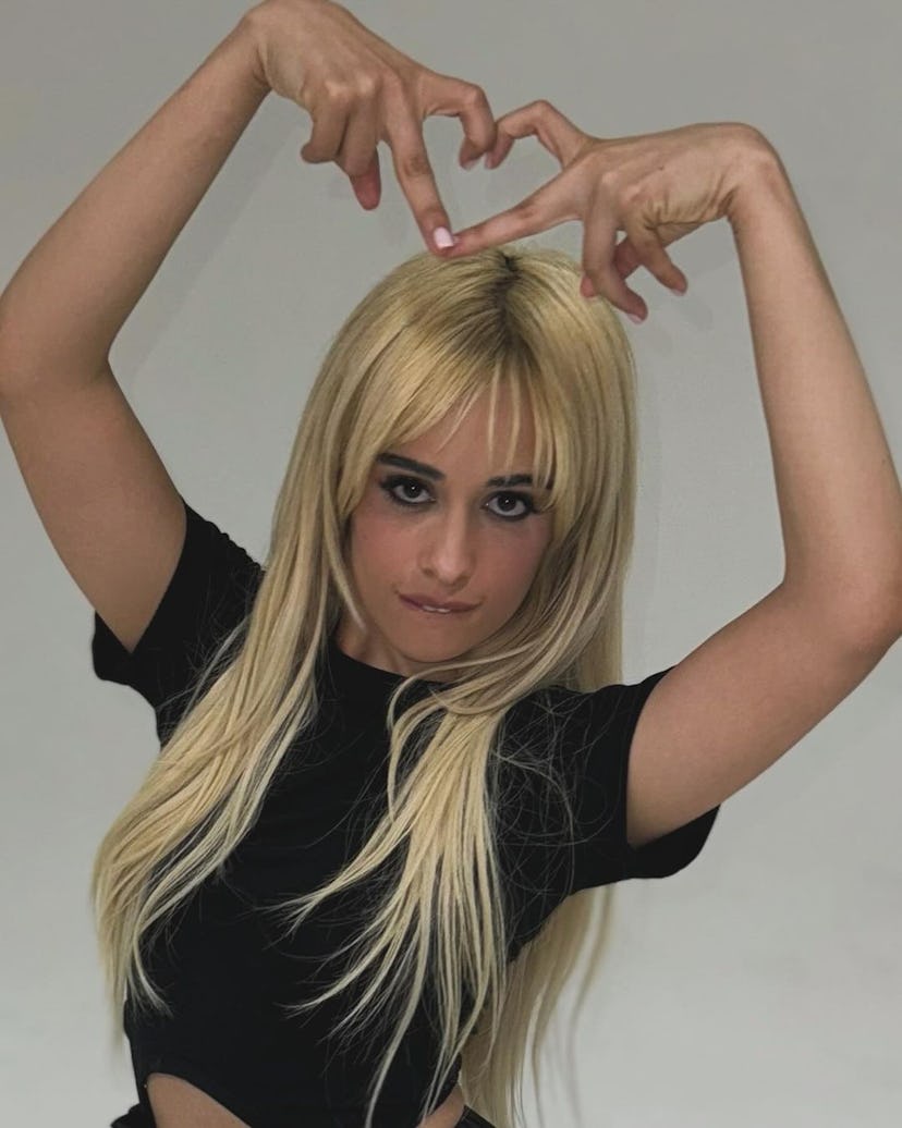 Camila Cabello wears a black dress with cutouts and ballet flats.