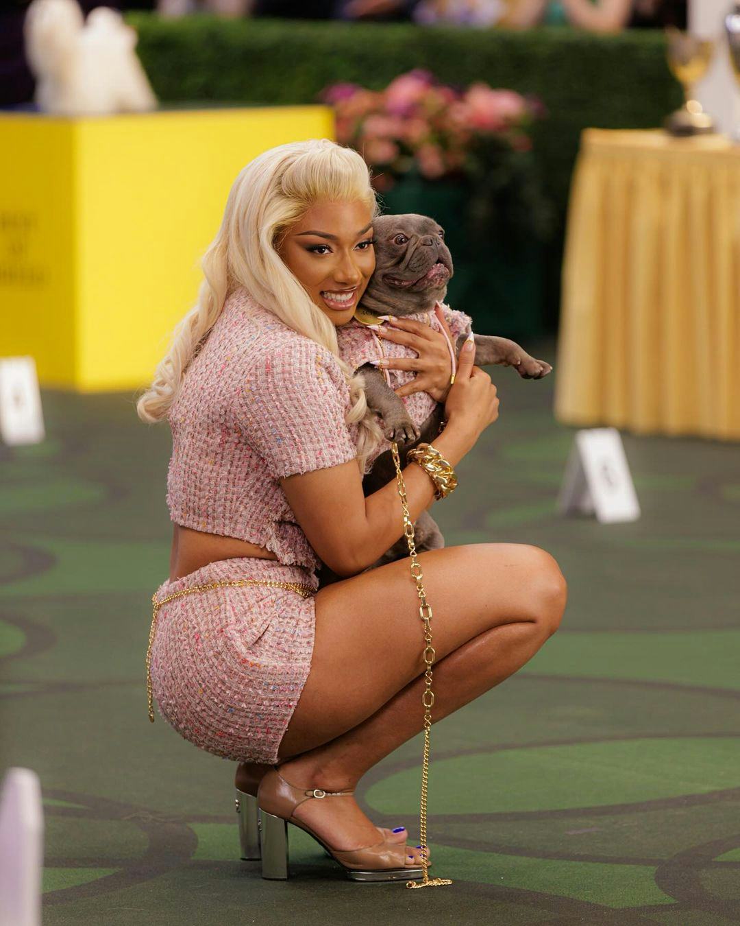 Megan Thee Stallion wears a pink tweed shorts set with her Frenchie, 4oe.