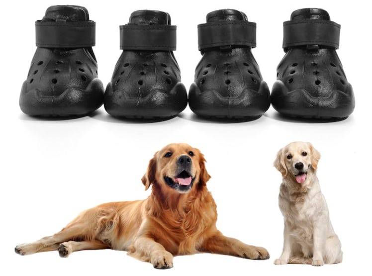 DOGOYS Dog Sandals