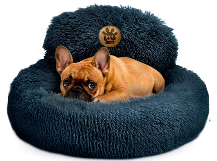 PetJett Calming Dog Bed