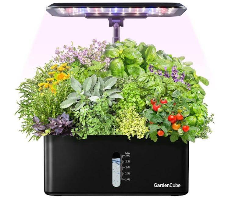 GARDENCUBE Hydroponics Growing System Indoor Garden