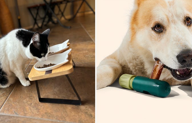 These cool, new dog & cat products on Amazon are pure genius