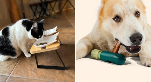 These cool, new dog & cat products on Amazon are pure genius