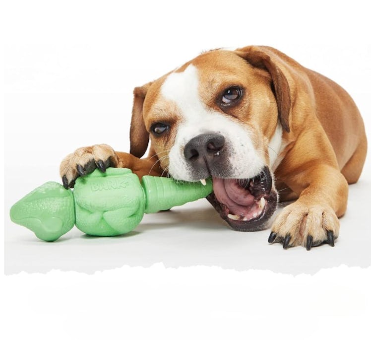 Barkbox Super Chewer Iguana Toy