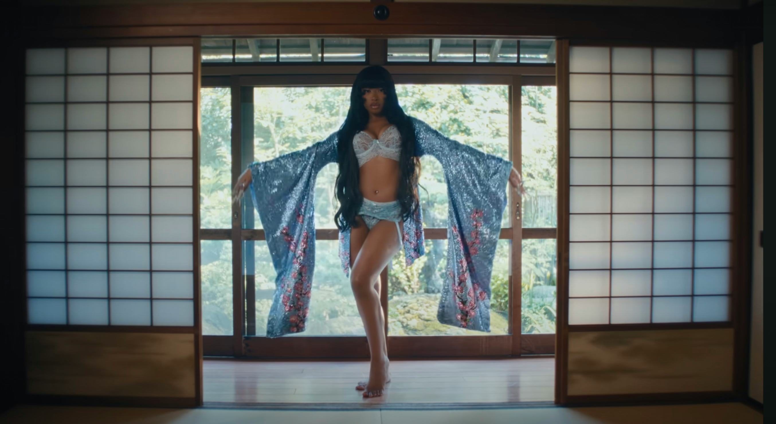 Megan Thee Stallion rocked a Y2K-era whale tail in her latest music video.