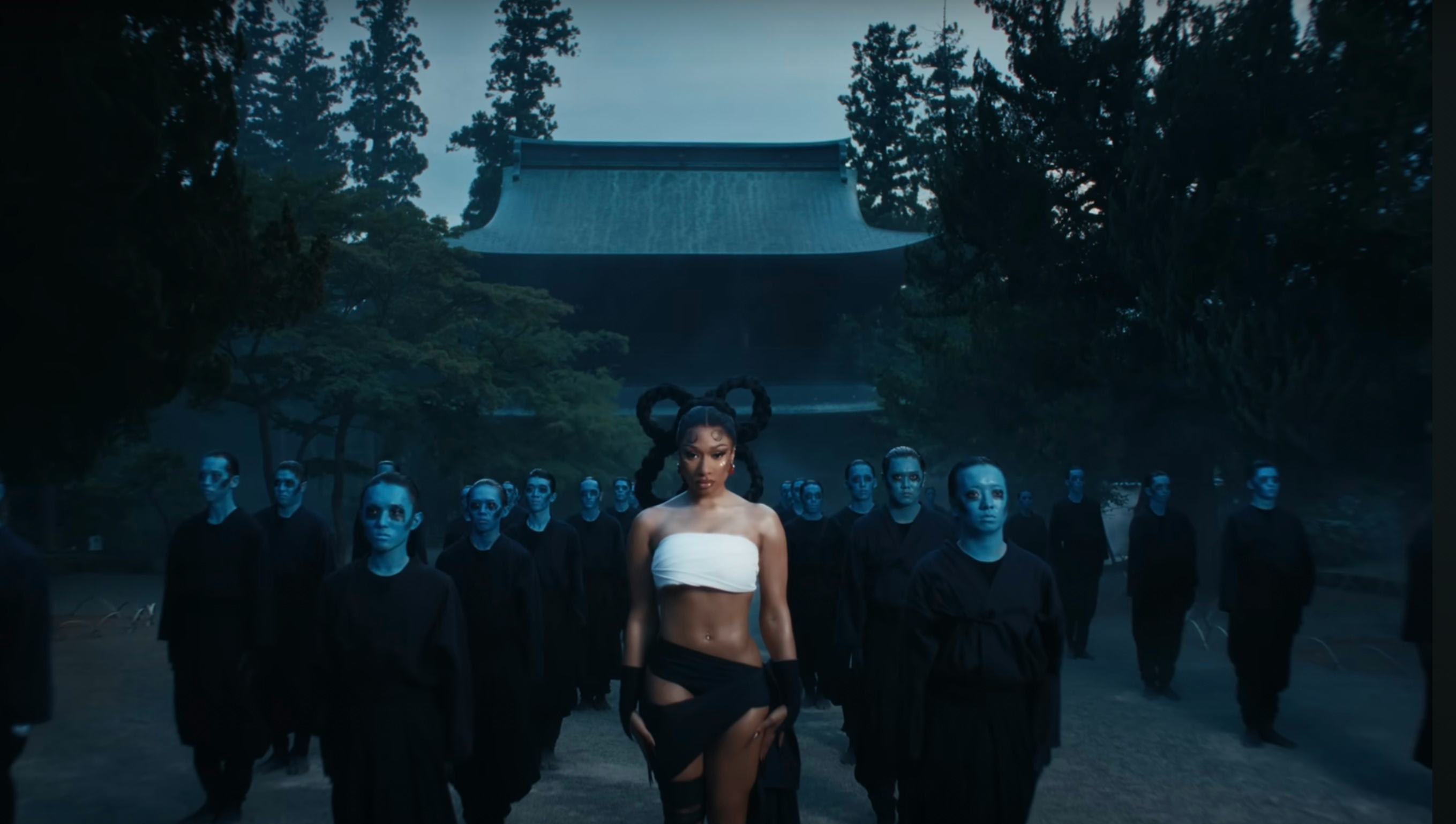 Megan Thee Stallion rocked a Y2K-era whale tail in her latest video.