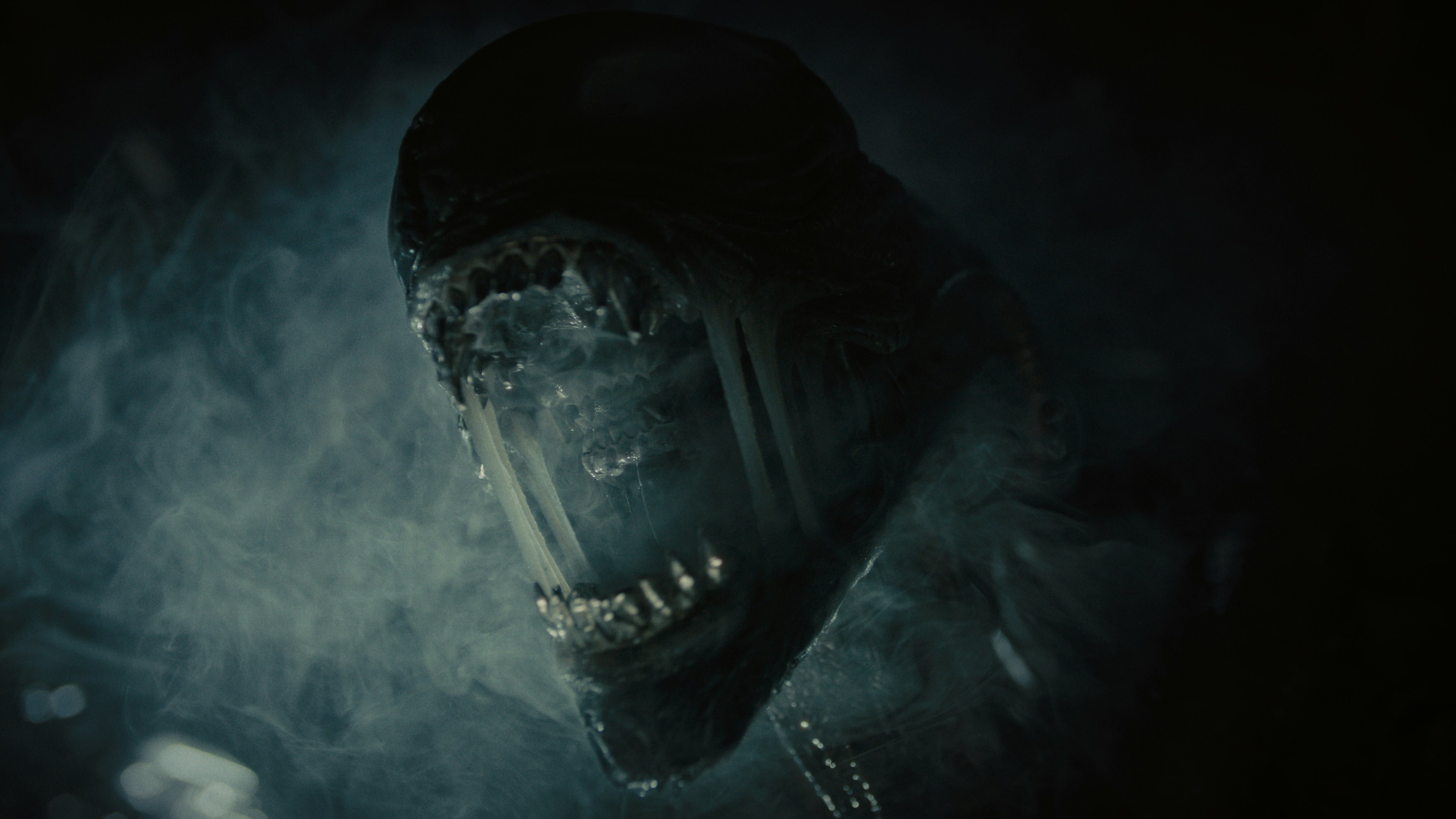 Xenomorph Hybrid? The Alien Franchise's Most Disturbing Creation Just Got a Gross Origin