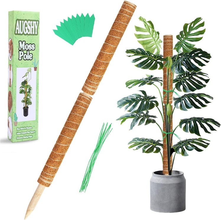 Augshy 27-Inch Moss Poles For Training Plants (2 Pieces)