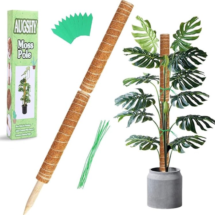 Augshy Moss Poles (2-Pack)