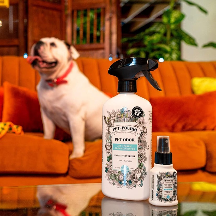 Pet-Pourri Pet Odor Air + Fabric Odor Freshener Spray