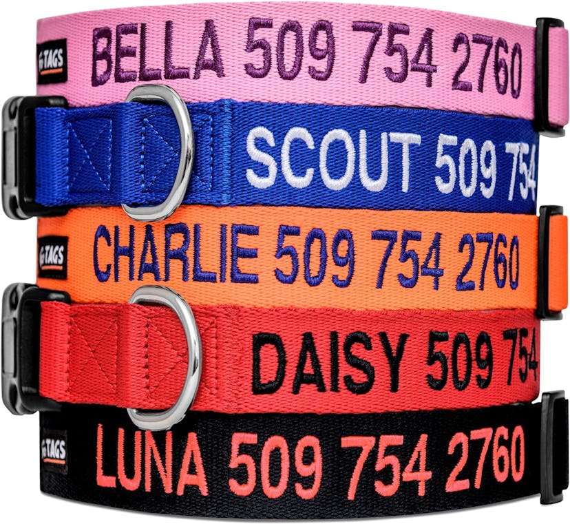 GoTags Personalized Dog Collar