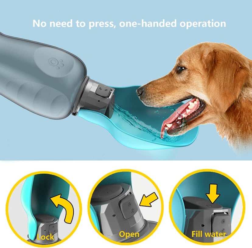 Kalimdor Dog Water Bottle