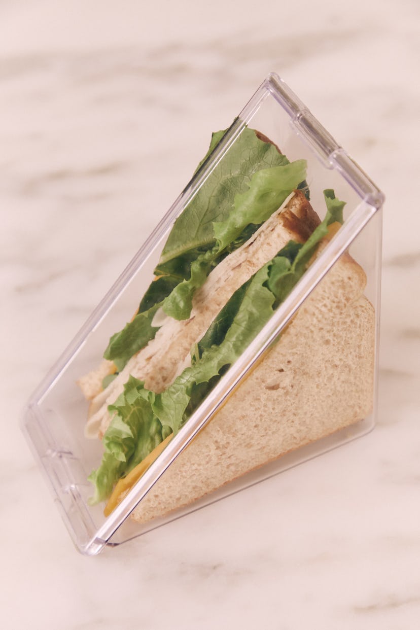 SHEIN X Jess 1PC Portable Sandwich Box