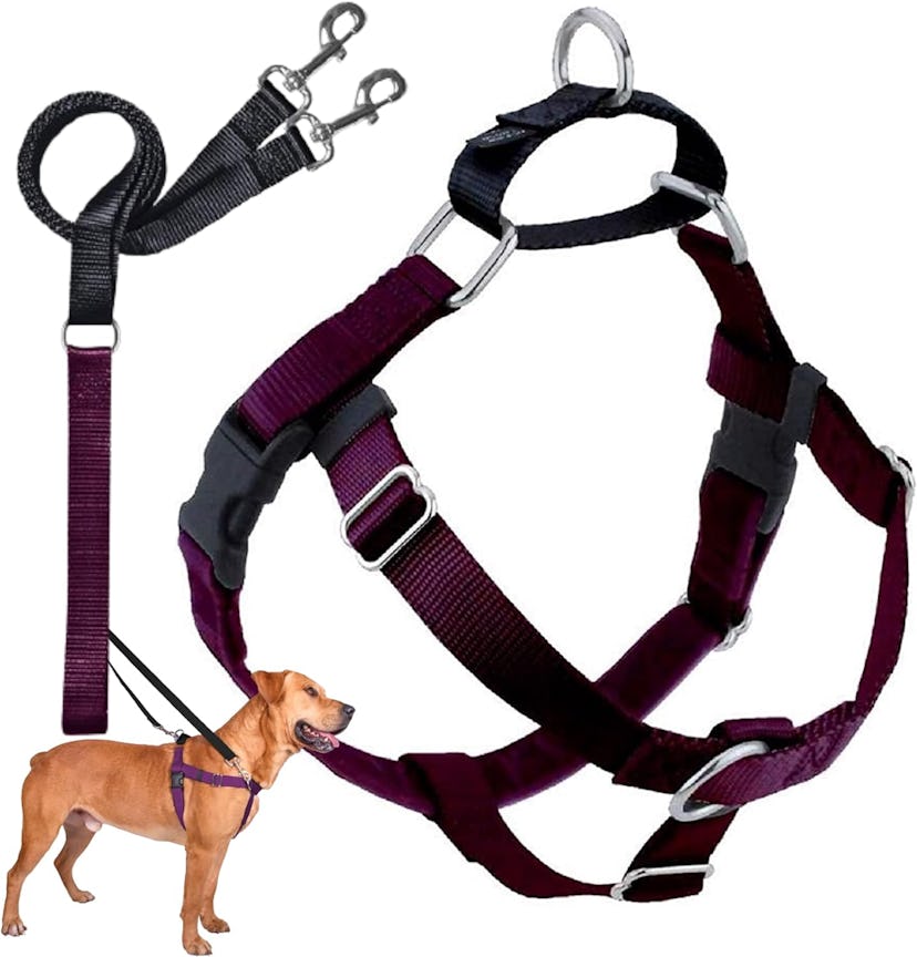 2 Hounds Design Freedom No Pull Dog Harness