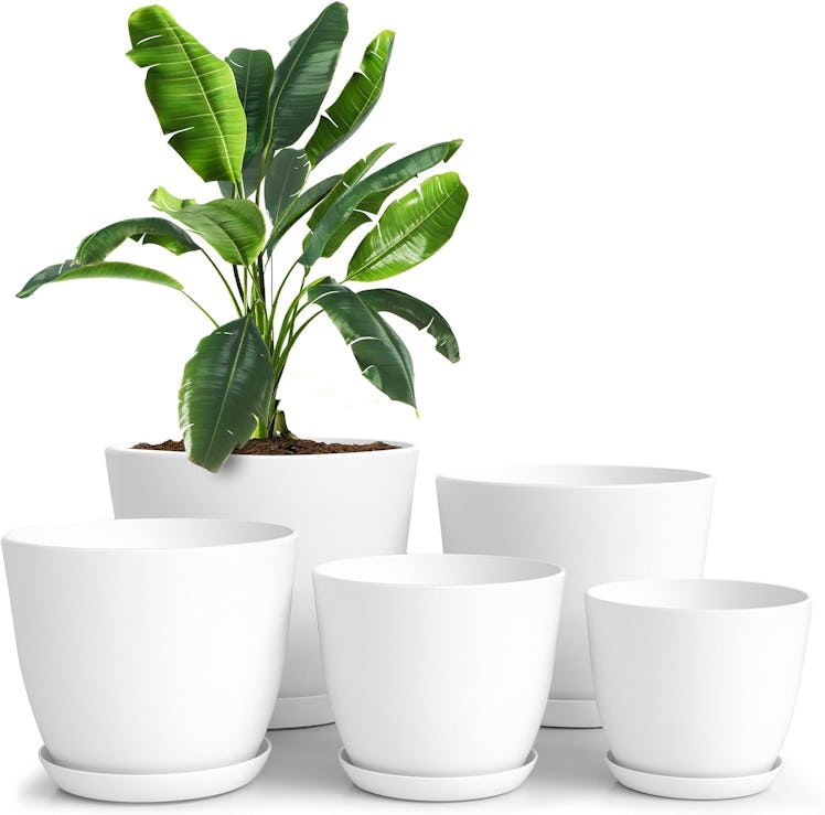 Utopia Home Plant Pots with Drainage (5-Pack)