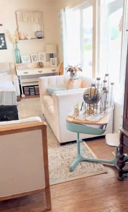 A cozy living room with large windows, featuring a white couch adorned with a blue pillow. A dog is sitting on the couch, and a decorative side table is nearby.