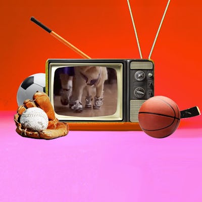 Where Have All The Great Sports Movies For Kids Gone?