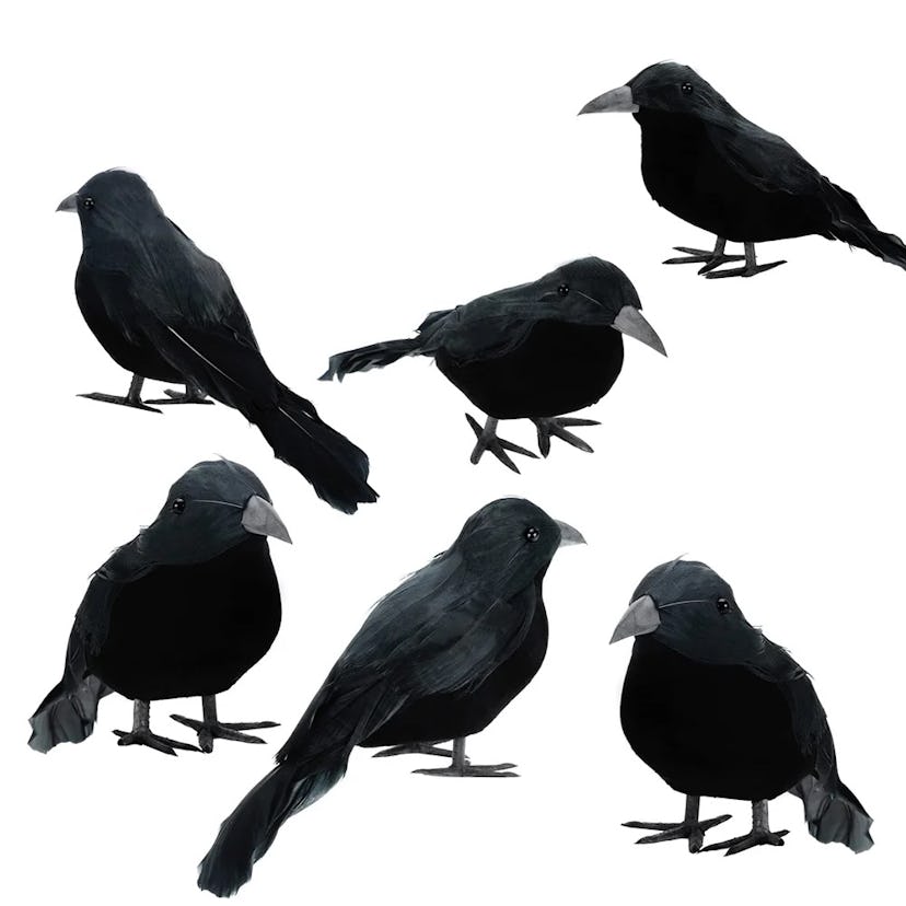 Black Feathered Decoration Birds, 6 Pack