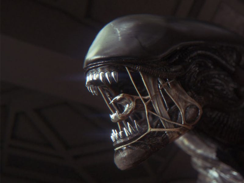 The xenomorph