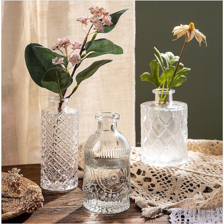 Wildmos Glass Bud Vase (3-Pack)