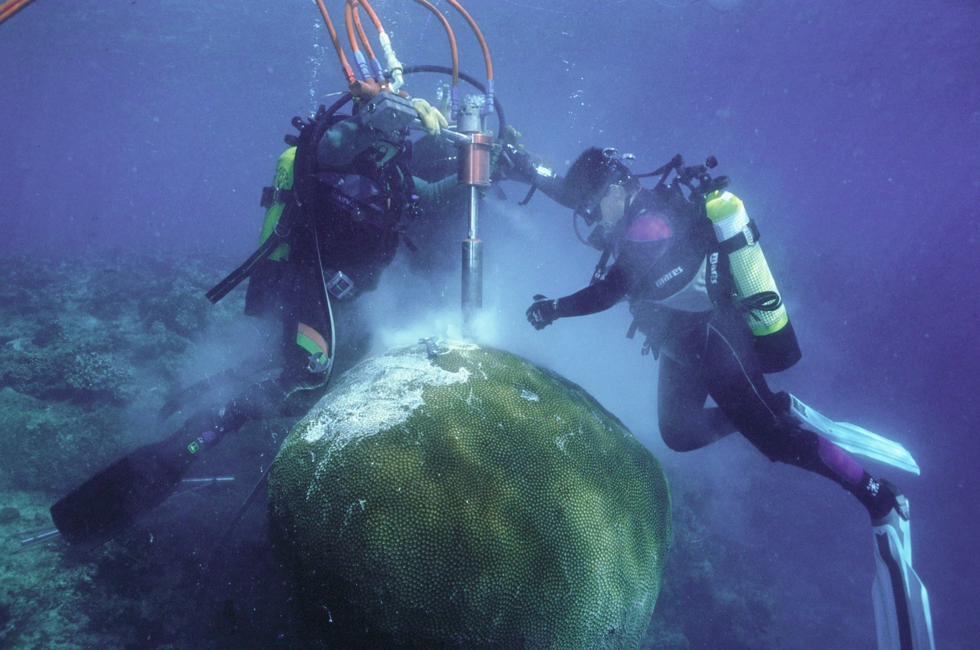 This Piece of Coral In Fiji Is 600 Years Old — What It Reveals About Our Climate’s Future Is Nerve-Wracking