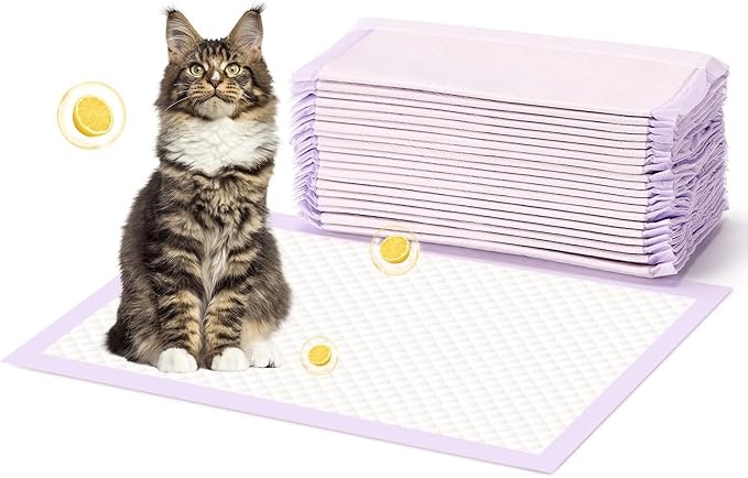 65 Amazon Products That Every Cat Owner Swears By