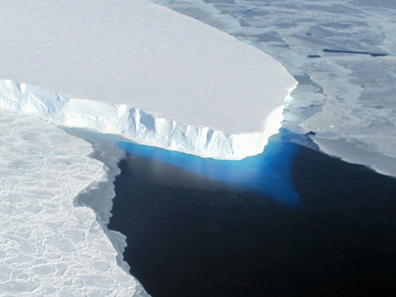 The calving front of Thwaites’ ice shelf. The blue area is light reflecting off ice below the water.